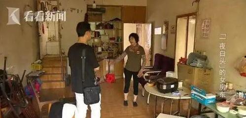 中年女房东在线视频,揭秘日常生活中的温馨瞬间
