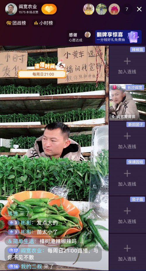 农民在线视频直播,农民在线展示农业魅力