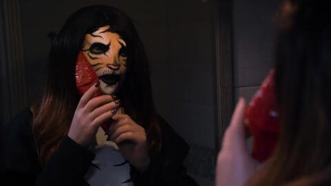 虎女在线视频,揭秘神秘直播间的魅力与挑战