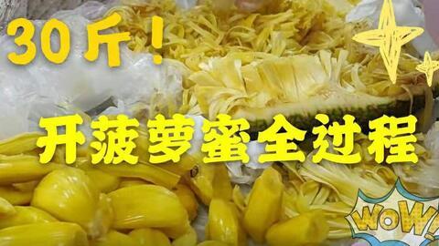 菠萝蜜在线视频18,揭秘神秘果实背后的故事