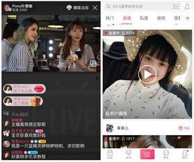 在线视频双渗,探索在线视频双渗技术的创新应用与未来趋势